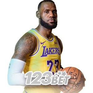 yy777 sports section featuring match schedules